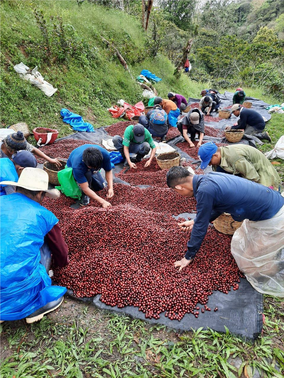 Nicaragua Agua Sarca Filter