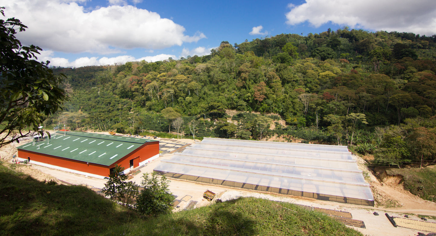 Nicaragua Finca Aurora Espresso