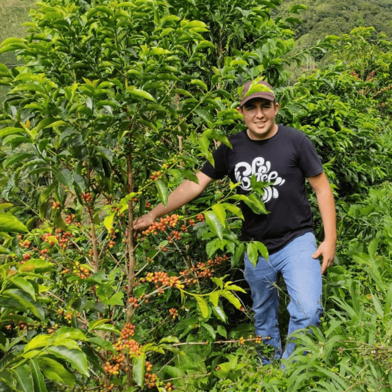 Colombia Las Flores Filter