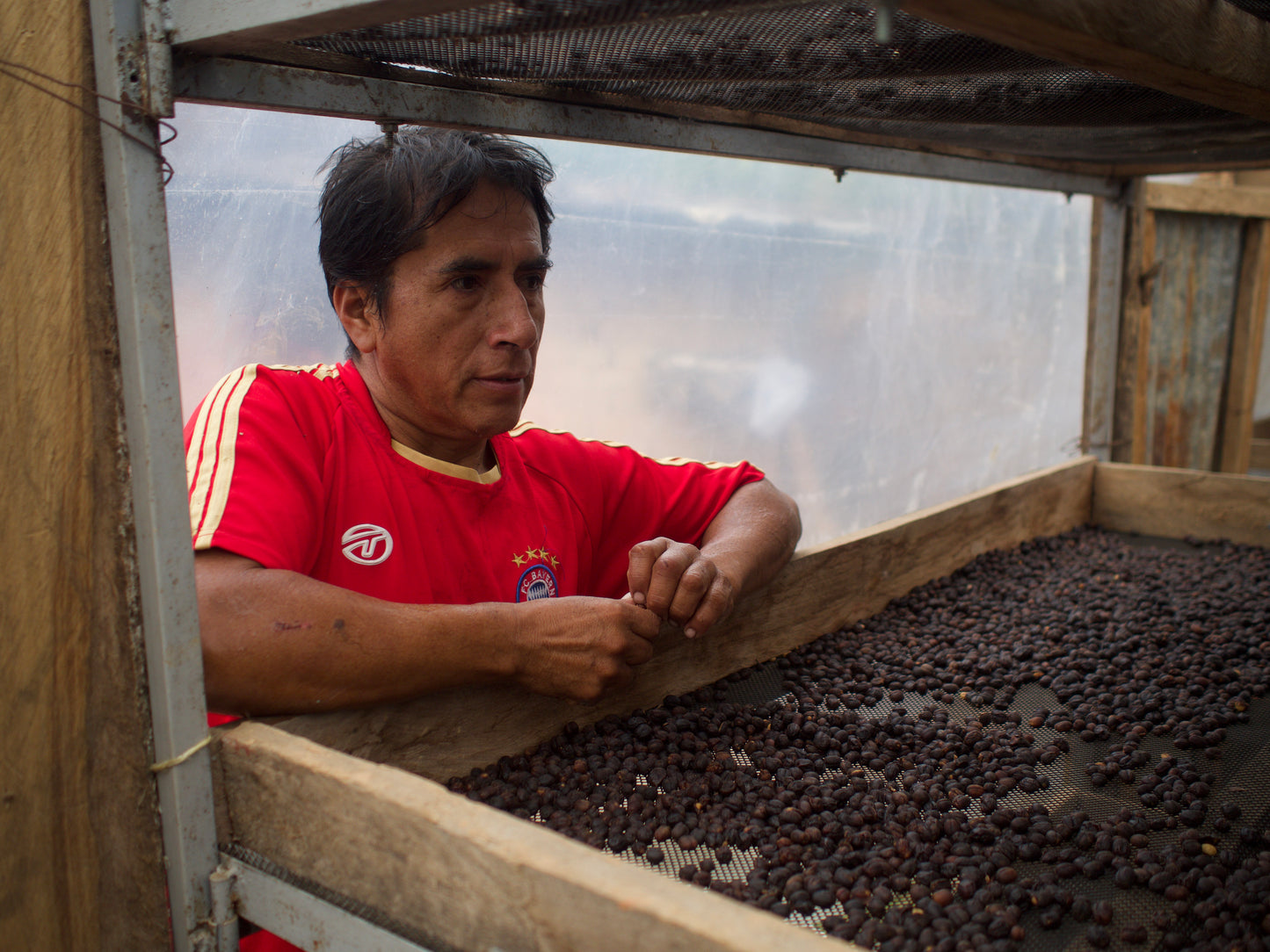 Peru El Diamante Espresso