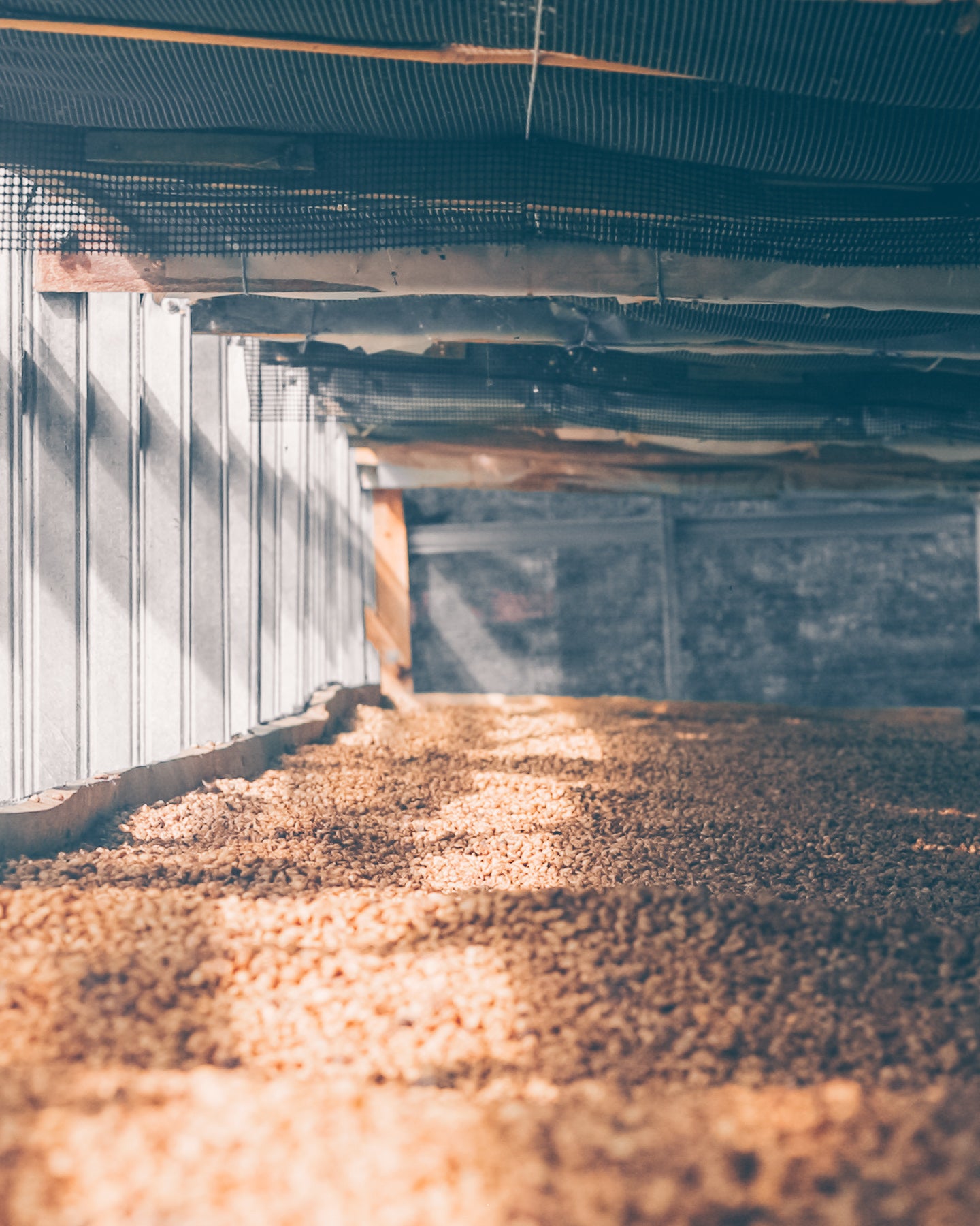 Colombia El Paraiso Espresso