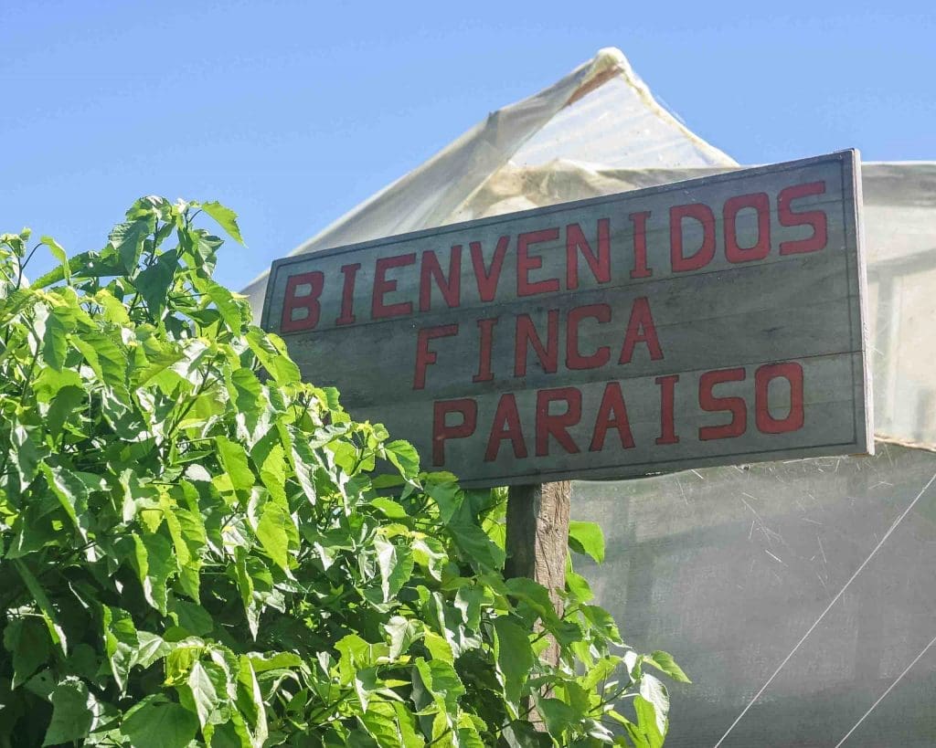 Colombia El Paraiso Espresso