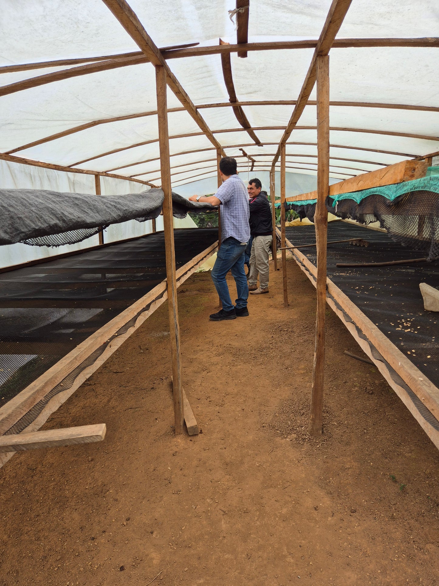 Peru Perlamayo Filter