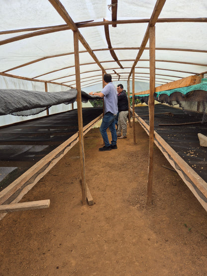 Peru Perlamayo Filter