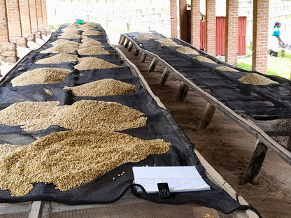 Rwanda Rugamba 368 Espresso