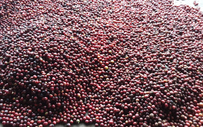 Kenya Gichathaini natural Espresso