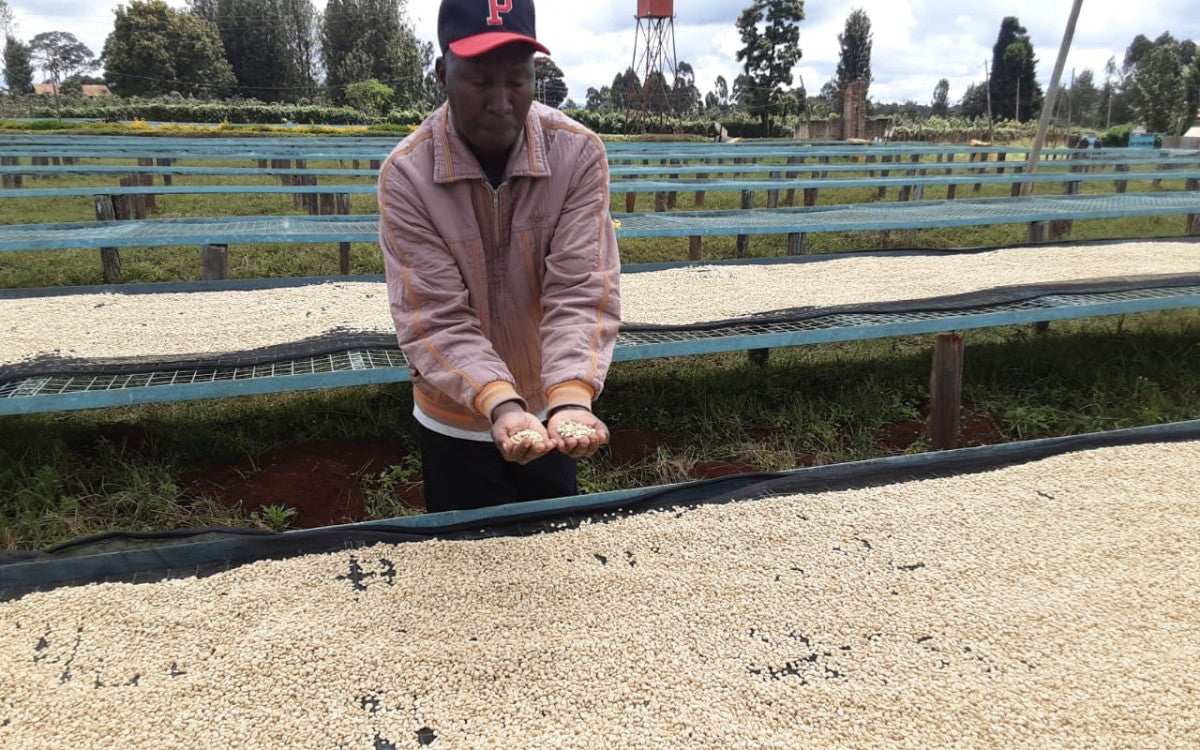Kenya Gichathaini natural Espresso