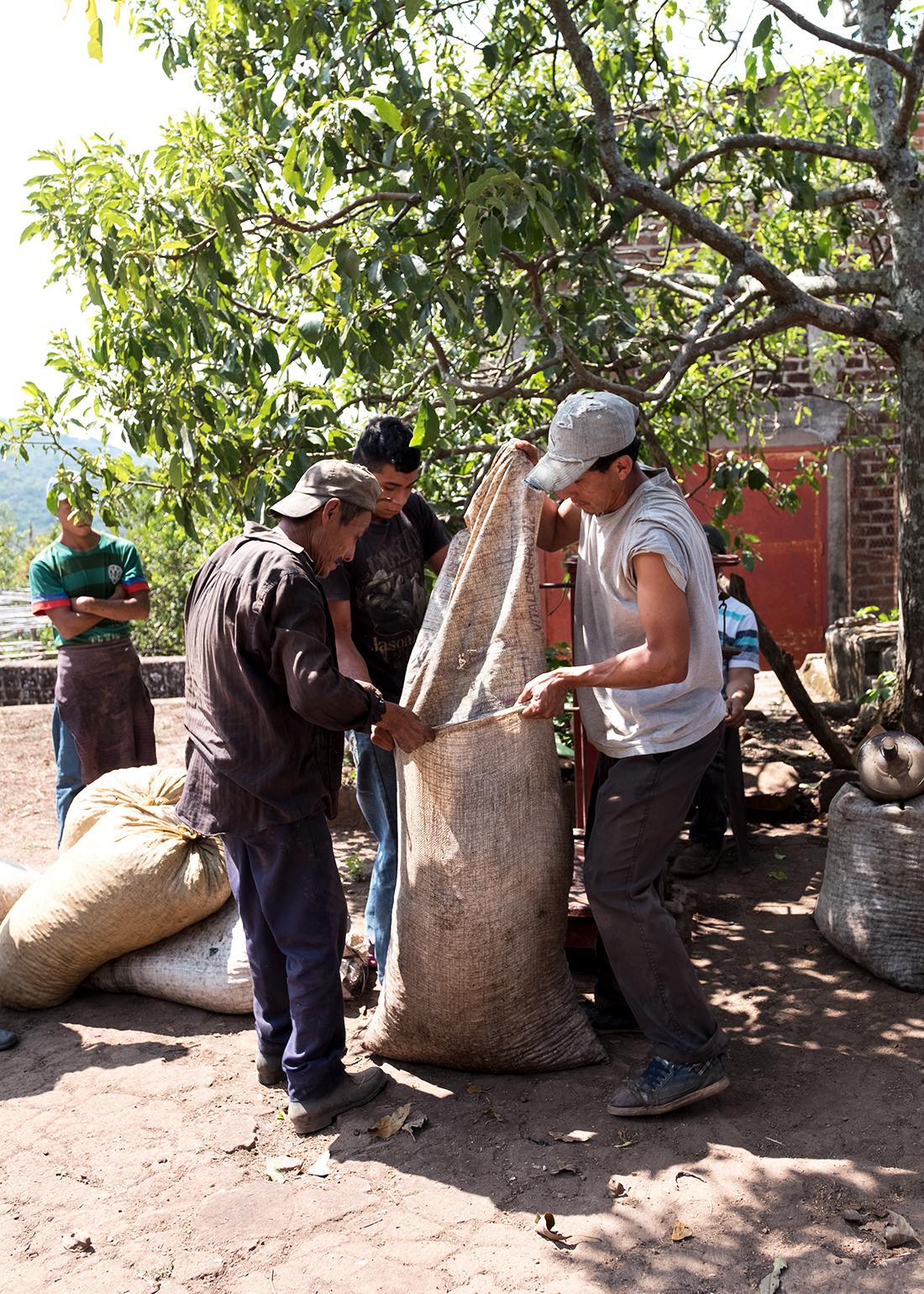 El Salvador La Dalia Espresso