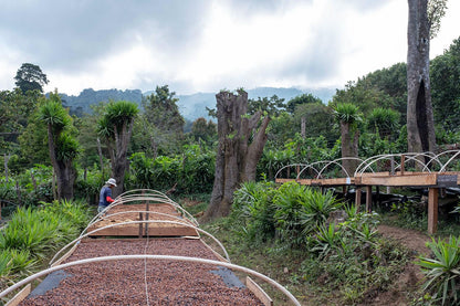 El Salvador La Dalia Espresso