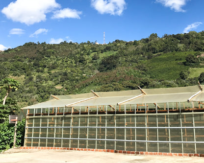 Colombia El Paraiso Espresso