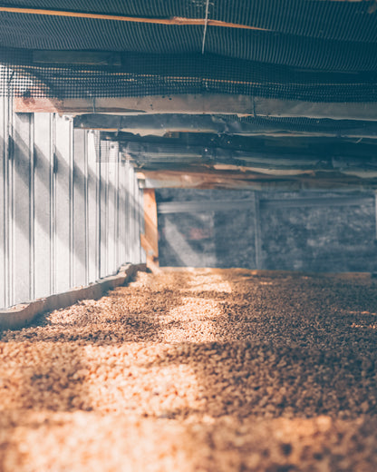 Colombia El Paraiso Espresso