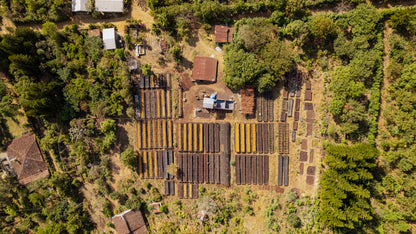 El Salvador Las Brisas Filter