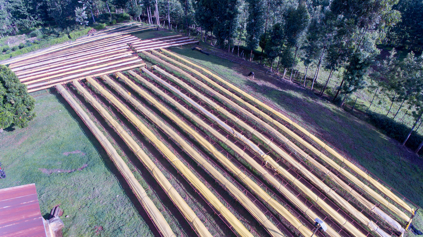 Kenya Kiamutuira Filter