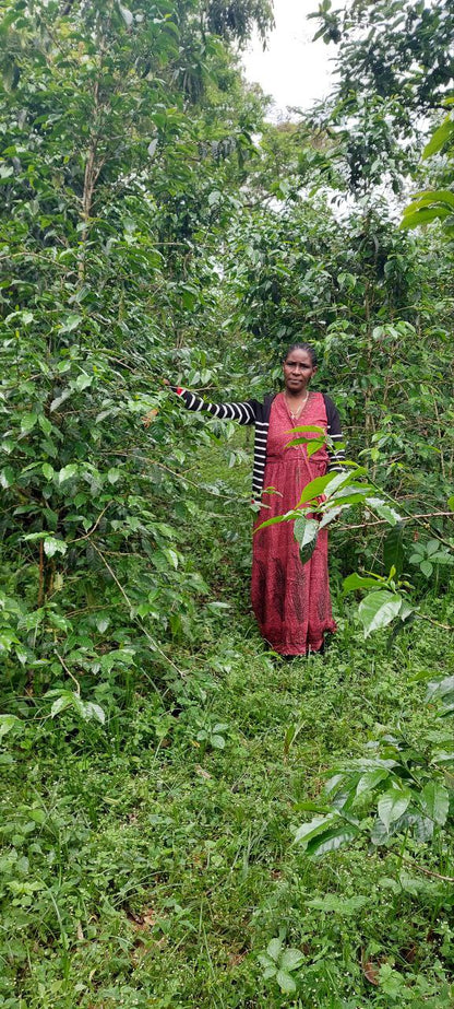 Ethiopia Tigist Abyot Espresso