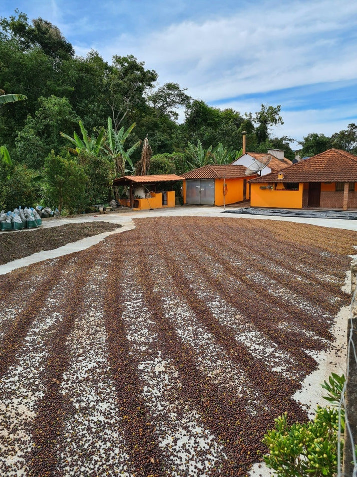 Rush Rush’s Espresso, Brazil (1kg)
