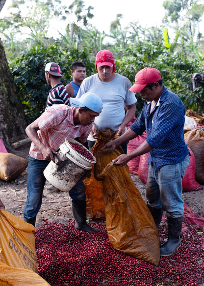 Nicaragua Finca Miriesch Espresso